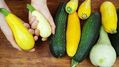 NIKA SEEDS - Seeds Vegetable Zucchini Summer Mix - 30 Seeds