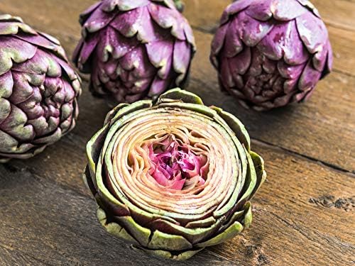 Seeds Purple of Romagna Globe Artichoke Vegetable for Planting Non GMO