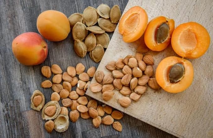 My Power Seeds (1 pound bag) | Natural Source of Vitamins & Minerals - Raw - 100% Non GMO, Vegan, Gluten Free (Apricot Seeds) (180 Caps)