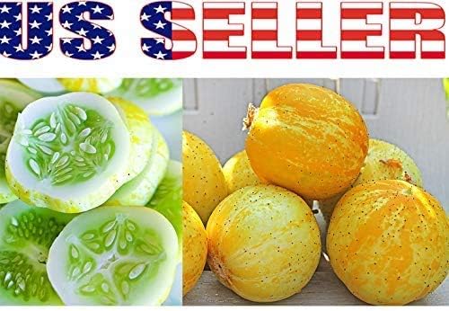 100 Cucumber Mix Seeds 12 Varieties Non-GMO Delicious and Crispy, Rare and Super Prolific, Cucumis sativus, Grown in USA