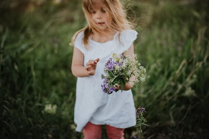 Zinnia Flower Garden Seeds - Magellan Series - Ivory - Packet of 10 Seeds - Annual Flower Gardening Seed - Zinnia elegans
