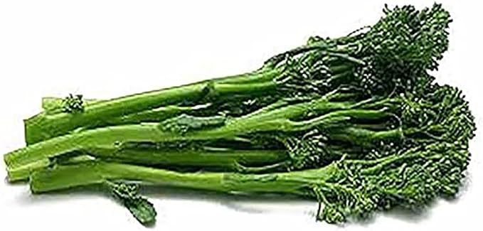 Sorrento Broccoli Raab Seeds - Brassica rapa VAR