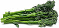 Sorrento Broccoli Raab Seeds - Brassica rapa VAR