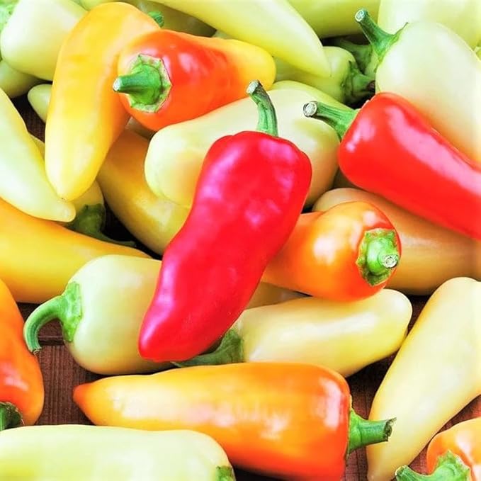 200 Santa Fe Grande Pepper Seeds | 700 Scoville Medium Hot Chili Guero Chile Yellow Calibre Jalapeno Vegetable Seed