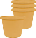 The HC Companies 6 Inch Prima Round Planter Pots with Drainage Holes and Rolled Rim, Lightweight UV-Resistant Plastic Indoor & Outdoor Planters, 4-Pack Flower Pots for Garden & Home Decor, Honey