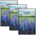 Sow Right Seeds - Wild Blue Lupine Seeds for Planting - Non-GMO Heirloom Perennial - Easy to Grow - Beautiful Purple Flowers for Gardens and Landscapes - Ideal for Bee and Butterfly Attraction (3)