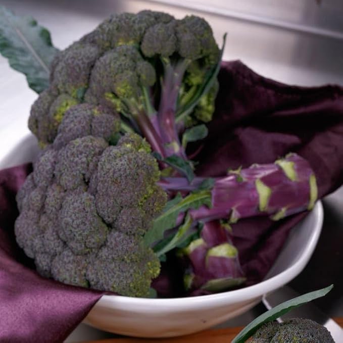 Park Seed Purple Magic Hybrid Broccoli Seeds - Pack of 50 Seeds, AAS National Winner 2024, Vibrant Purple Heads, Tender and Sweet Flavor, Perfect for Ornamental Edible Gardens