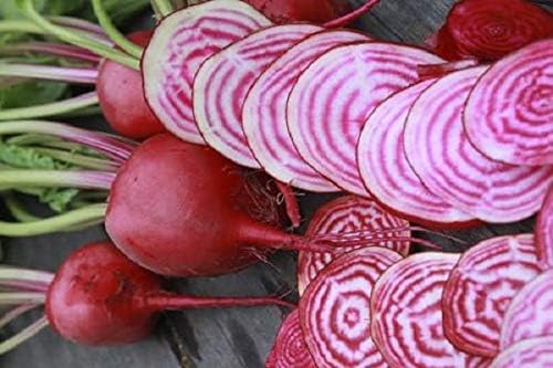 Seeds Vegetable Rare Beet Chioggia (Barbabietola di Chioggia, Bassano) Beetroot White-Pink Rings Heirloom - 100 Seeds