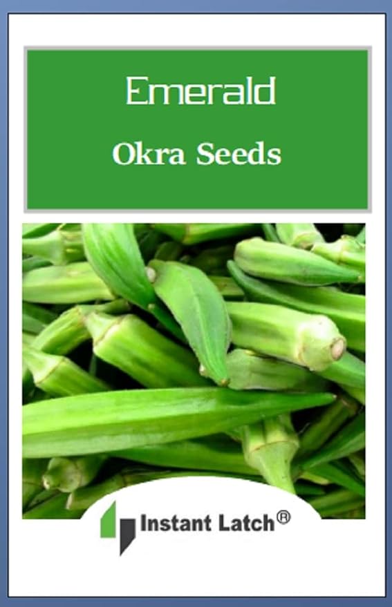 100 Emerald Okra Seeds for Planting Non GMO Heirloom Seeds Instant Latch Fresh Garden Seed