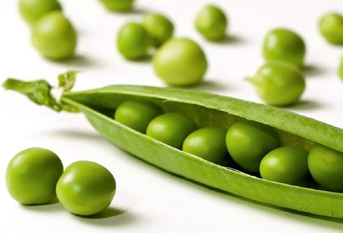 Early Alaska Pea Seeds 100 Count, "COOL BEANS N SPROUTS" Brand. Heirloom. Non-GMO. Home Gardening.
