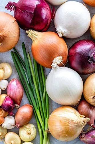 CEMEHA SEEDS - Seeds Onion Mix Non GMO Vegetable for Planting