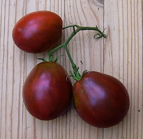 Seeds Tomato Pear-Shaped Black Heirloom Vegetable for Planting Non GMO