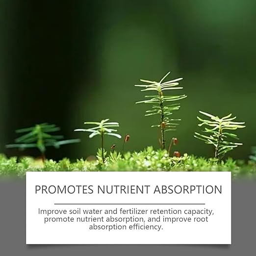 Soil Activator Black Water, Soil Pro Activator for Plants, Concentrated Soil Revitalizer for Lawn, Garden, Vegetables & Indoor Outdoor Plants (3 PC)