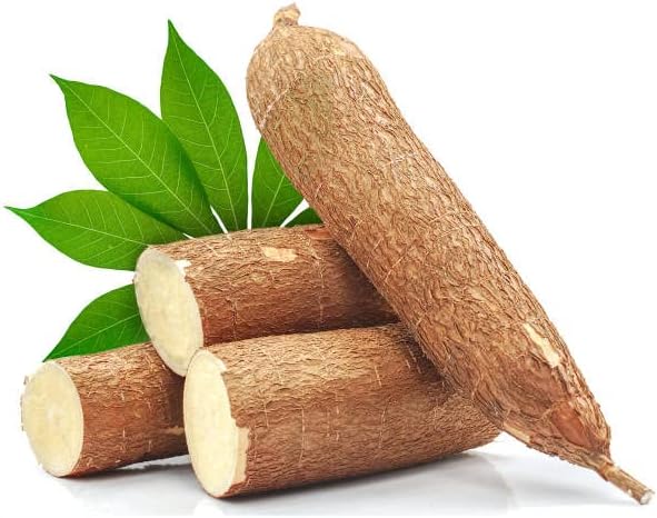 4 Yuca Cassava Manihot Sweet Cuttings, 6 to 8 Inches Cassava for Planting, Cassava Root Plant, Cassava Root for Planting