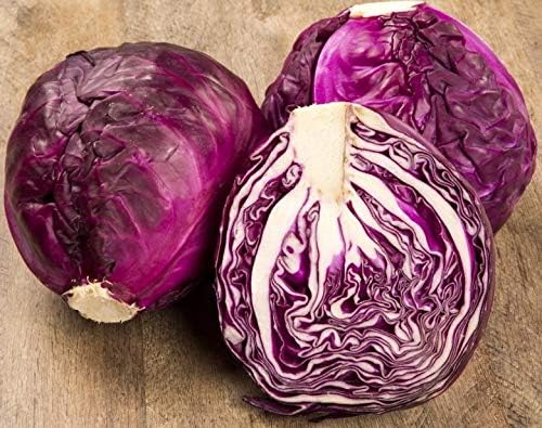 Seeds Vegetable Cabbage Purple - 150 Seeds