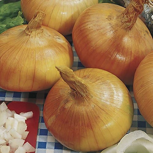 Park Seed Walla Walla Sweet Onion Seeds – Cold-Hardy Long-Day Variety, Ultra-Mild Flavor, Early Maturing for Northern Gardens, Large White Bulbs with Tan Skin, 100–120 Days – Pack of 200 Seeds