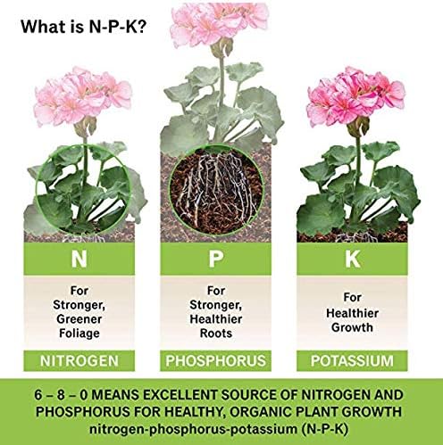 Burpee Organic Bone Meal Fertilizer | 3 lb Bag, 2-Pack | Add to Potting Soil for Strong Root Development | OMRI Listed for Organic Gardening | Great for Tomatoes, Peppers, and Bulbs