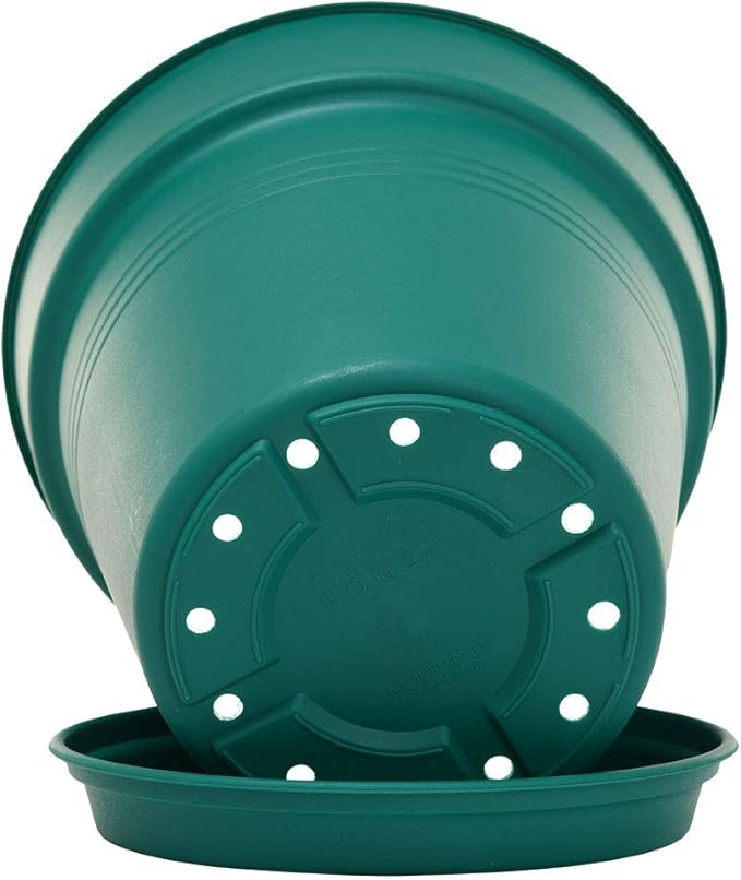 Mintra Home Garden Pots 4pk - Flowers, Herbs, Plants, Indoor, Outdoor, Colorful, Wholesale, Bulk (Forest Green, 11cm Diameter (4.3in))