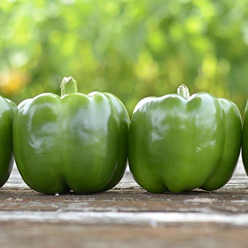 Park Seed Whopper Collection – High-Yield Tomato, Bell Pepper, Jalapeño & Cucumber Seed Set, Crisp, Flavorful & Disease-Resistant Varieties, Non-GMO, 4-Pack Vegetable Garden, Pack of 80