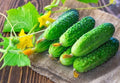 10+ Seeds Cucumber Be st Seller F1 Hybrid - Vegetable Self-Pollinated