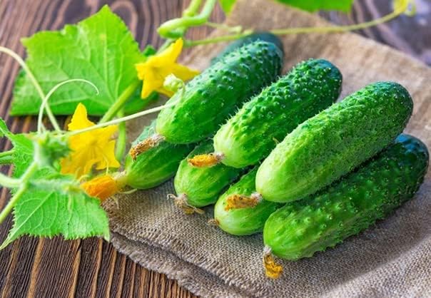 Cucumber Be st Seller F1 Seeds – Hybrid, Self-Pollinated | 37–40 Days to Harvest | High-Yield, Disease-Resistant Variety for Greenhouses & Open Fields