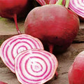 Seeds Vegetable Rare Beet Chioggia (Barbabietola di Chioggia, Bassano) Beetroot White-Pink Rings Heirloom - 100 Seeds