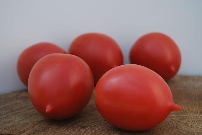 NIKA SEEDS - Seeds Vegetable Pink De Barao Tomato - 30 Seeds