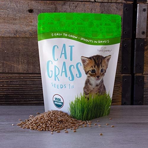 Organic Cat Grass Seeds – Non-GMO Hard Red Wheatgrass Seeds for Cats, Dogs, Rabbits – Grows in Cat Grass Kits – 12 oz