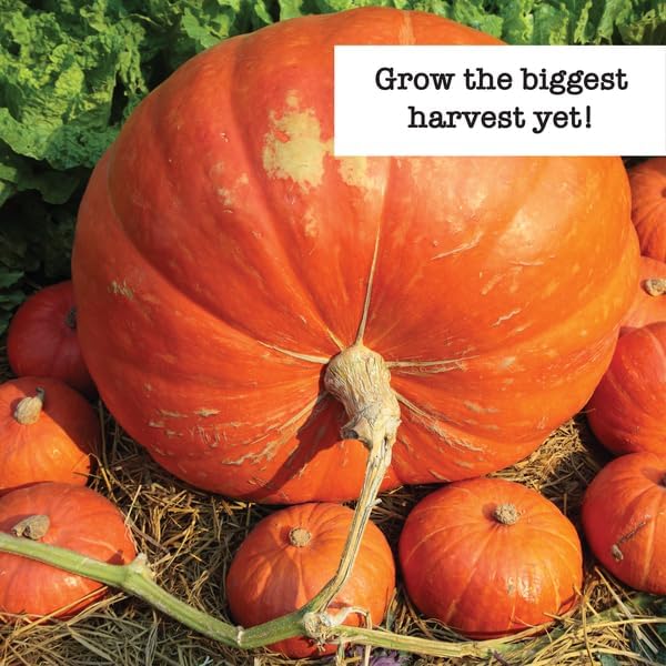 Ferry-Morse Colossal Vegetable Non-GMO Seed Variety Pack - 6 Pack