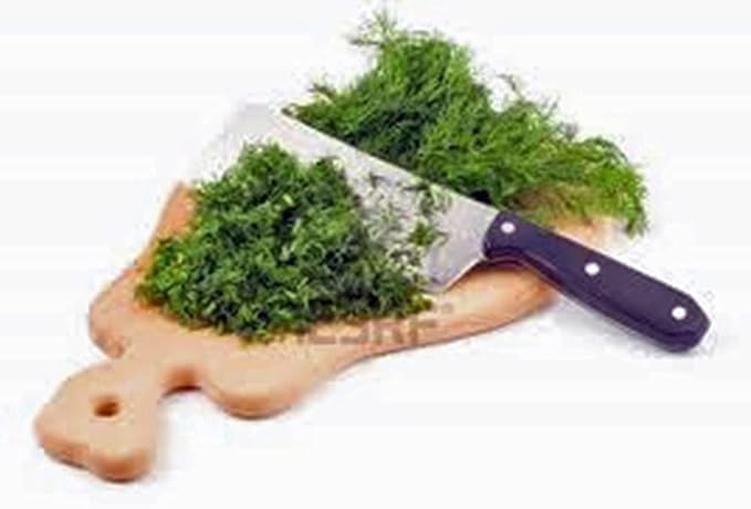 Dill Seed, Dill Bouquet Heirloom, Non GMO, 100+ Seeds, Herb Fresh or Dried