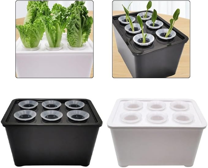 Hydroponics Growing Box 6-Holes Cultivation System Designed for Indoor Use with Multi-Set Package Supporting Efficient Root Development and Crop Growth