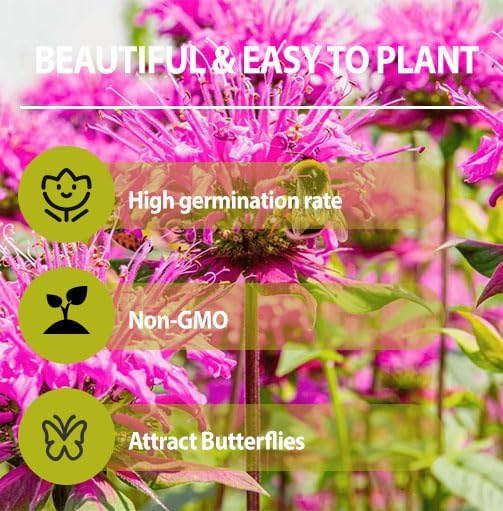 1100+ Perennial Mix Bee Balm Flower Seeds for Planting-Non-GMO Heirloom Plant Seeds Garden Outdoor