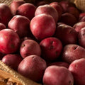 Red Potato Seeds, 60 Seeds True Potato Seeds Vegetable Seeds for Growing