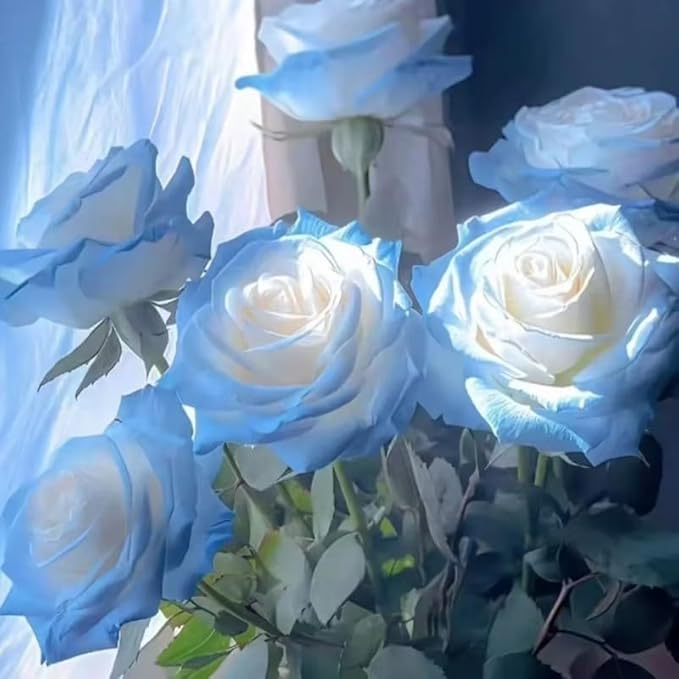 Mixed Climbing Rose Seeds for Planting, 295+pcs Rare Rose Flower Seeds, Heirloom Non-GMO Home Garden Bloom Flowers Plants for Outdoors Indoors