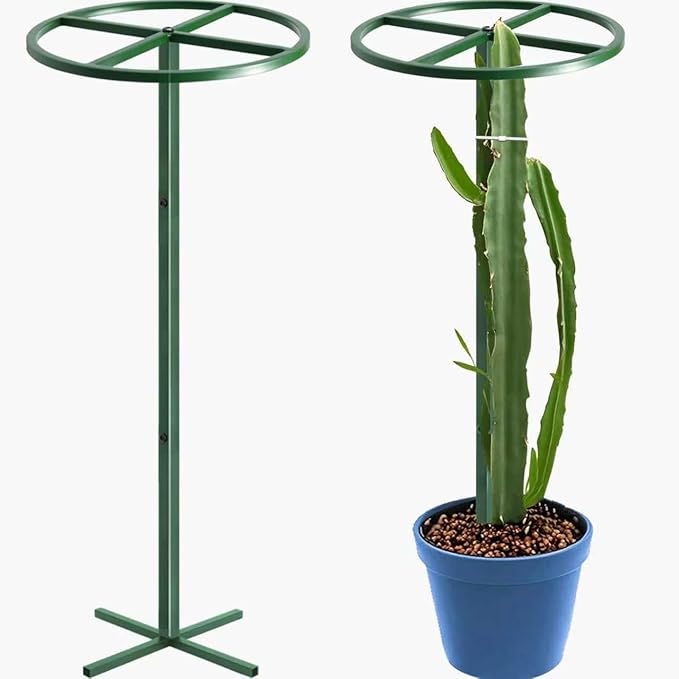 62" Round Metal Dragon Fruit Trellis，Adjustable Dragon Fruit Plant Trellis for Vertical Gardening and Climbing Plants Trees Cactus Garden Outdoor Indoor Potted Support Green