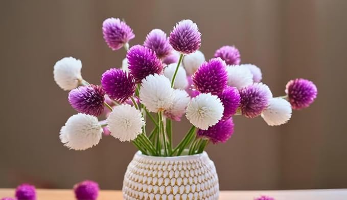100pcs Globe Amaranth Gomphrena Globosa Seeds Mixed Colors Amaranthus Flower Bachelor Button Heirloom
