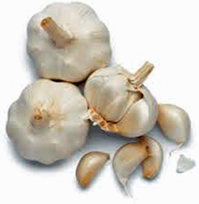 GARLIC BULB (2 Pounds), FRESH CALIFORNIA SOFTNECK GARLIC BULB FOR PLANTING, EATING AND GROWING YOUR OWN GARLIC, COUNTRY CREEK BRAND