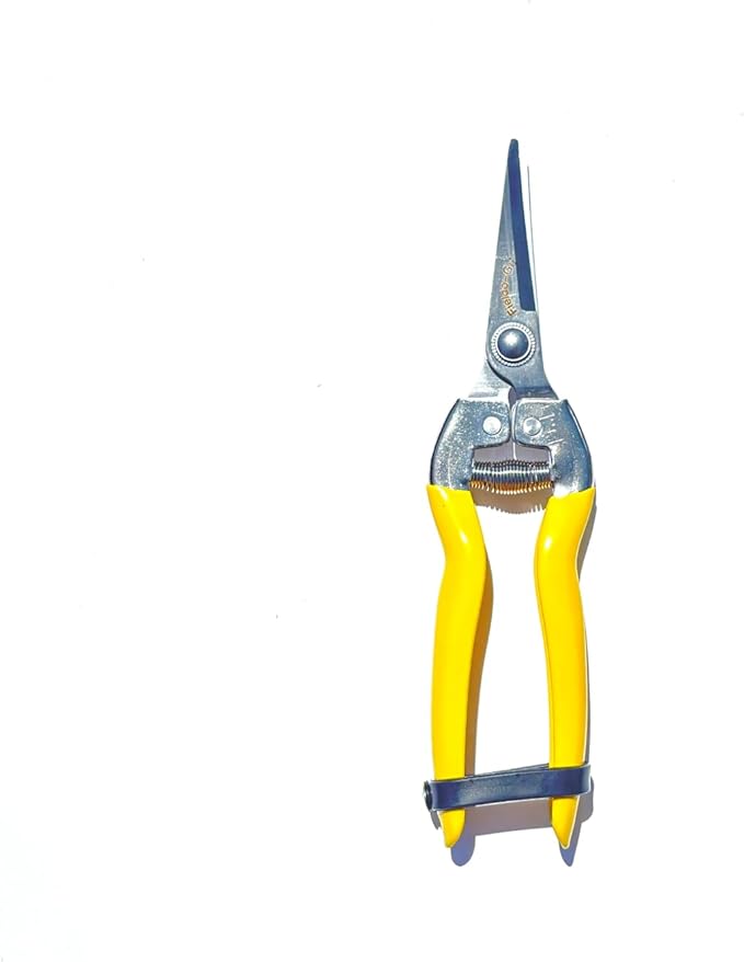 Pruning Snip w/Curved Blades 7" with Stainless Blades for Flowers, Weeds, Small Plants and Bonsai, Gardening Hand Tools