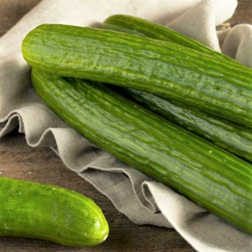 Straight Eight Cucumber Seeds - 100 Count Seed Pack - Prized for its Flavor, and Even, deep Green Color - Country Creek LLC