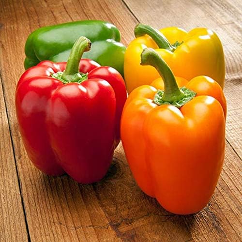 CEMEHA SEEDS - Seeds Sweet Bell Pepper Rainbow Mix Non GMO Vegetable for Planting