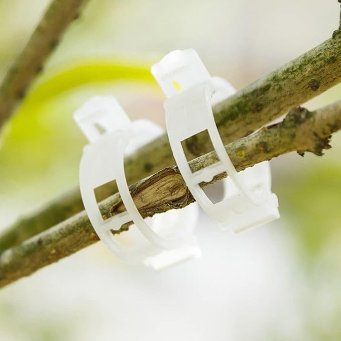 100Pcs White Plastic Trellis Clips Plant Support Clips,Tomato Clip,Cages Plants Vine Vegetable Fastening Clip Grafting Tools Make Plant Grow Upright and Healthier,Plants Support Structures