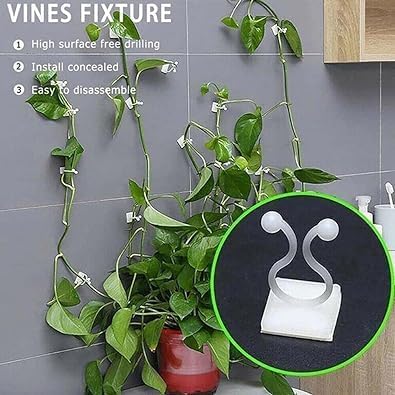 10 Pcs Plant Climbing Wall Self-Adhesive Fixed Clip Climbing Vine Vegetable Hook Garden Clip Hanging Stora Wire Home Sticky Plant Support Structures