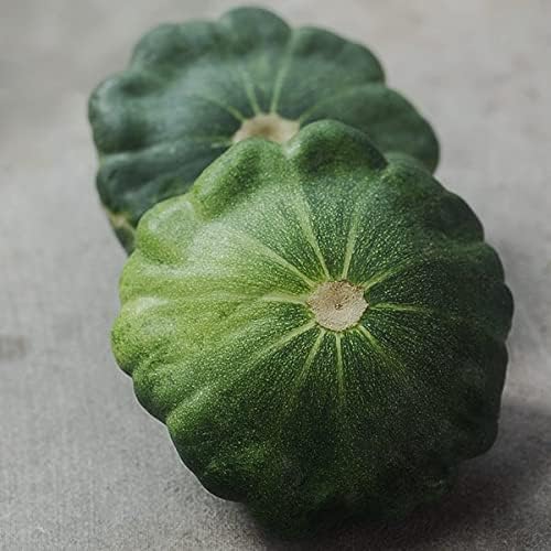 CEMEHA SEEDS - Seeds Scallopini Squash Patty Pan Zucchini Green Non GMO Vegetable for Planting