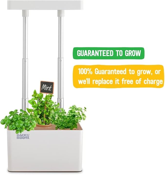Back to the Roots v1.0 Hydroponic Grow Kit, 2022 Model