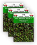 TKE Farms, Red Malabar Seeds for Planting, 1 Gram, Approximately 75 Seeds, Basella Rubra, Non-GMO, Heirloom, Qty 3