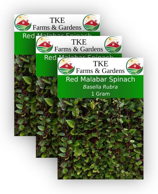 TKE Farms, Red Malabar Seeds for Planting, 1 Gram, Approximately 75 Seeds, Basella Rubra, Non-GMO, Heirloom, Qty 3