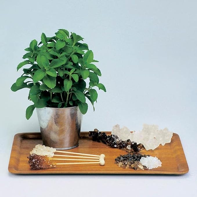 Park Seed Sugarleaf Organic Stevia Seeds - Pack of 100 Seeds, Non-Caloric Sweetener, 20-30 Times Sweeter Than Sugar, Perfect for Health-Conscious Gardeners, Tender Perennial