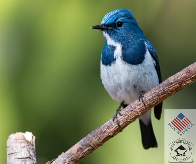 Blue Seal Woodpecker Mix Wild Bird Seed | Premium Blend of Nuts, Sunflower Seeds, and Fruit | Attracts Wide Variety of Wild Outside Birds | Convenient Shell-Free Mix | Made in USA | 8 Pound Bag