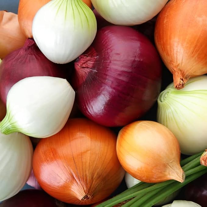 KIRA SEEDS - Seeds Onion Mix - Neutral Day - Heirloom Vegetable - GMO Free