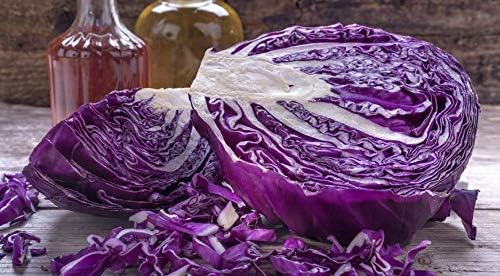 Seeds Vegetable Cabbage Purple - 150 Seeds